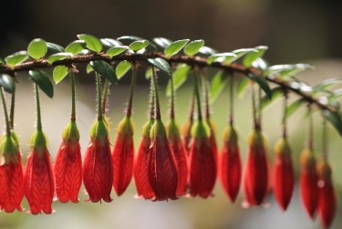 肇庆鼎湖区9私人快速借钱网，轻松解决资金难题