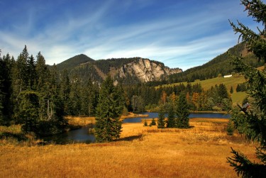 肇庆鼎湖区9民间私贷攻略：揭秘低成本借贷的秘密