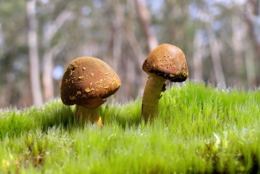 肇庆鼎湖区9私人老板放款：轻松融资的秘密通道